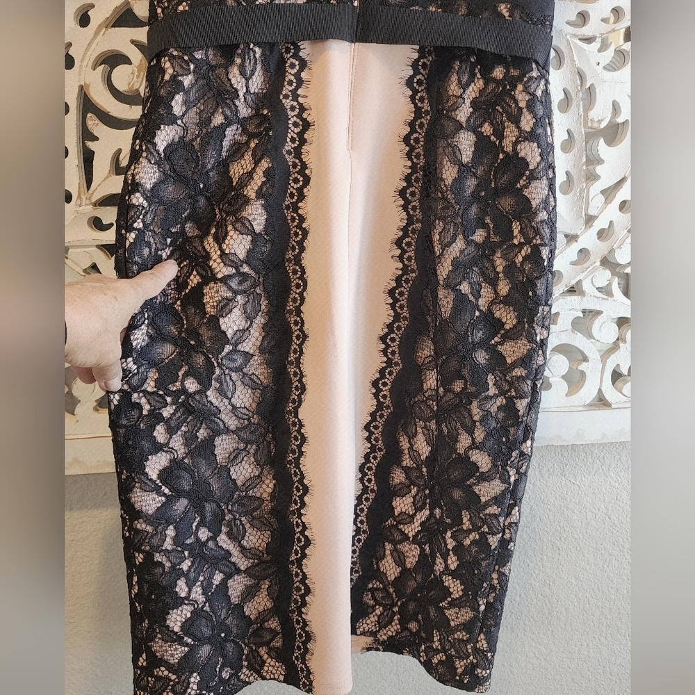 TADASHI SHOJI SHEATH LACE STRAPLE DRESS BLACK & NUDE TONE SIZE 2 - Picture 11 of 13